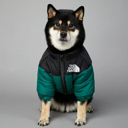 Hundejacke Winter „Puffer“ – warm, leicht, alltagstauglich