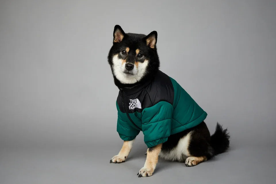 Hundejacke Winter „Puffer“ – warm, leicht, alltagstauglich