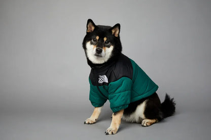 Hundejacke Winter „Puffer“ – warm, leicht, alltagstauglich