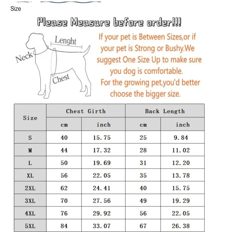 Hundejacke Winter „Puffer“ – warm, leicht, alltagstauglich