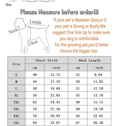 Hundejacke Winter „Puffer“ – warm, leicht, alltagstauglich