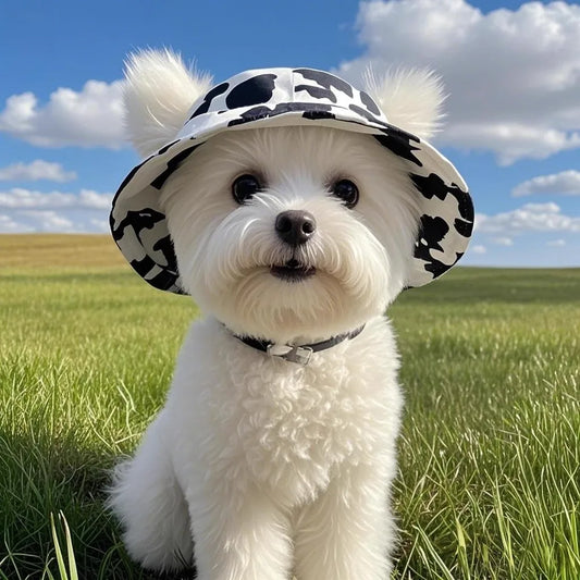 Niedlicher Sommerhut für Hunde – Sonnenschutz mit Stil
