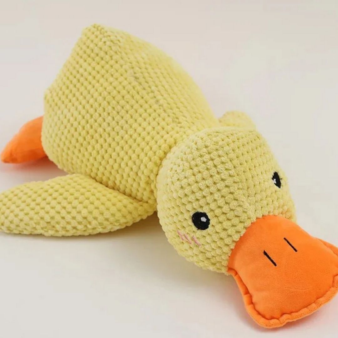 Die Ente fürs Auto - eddy shop