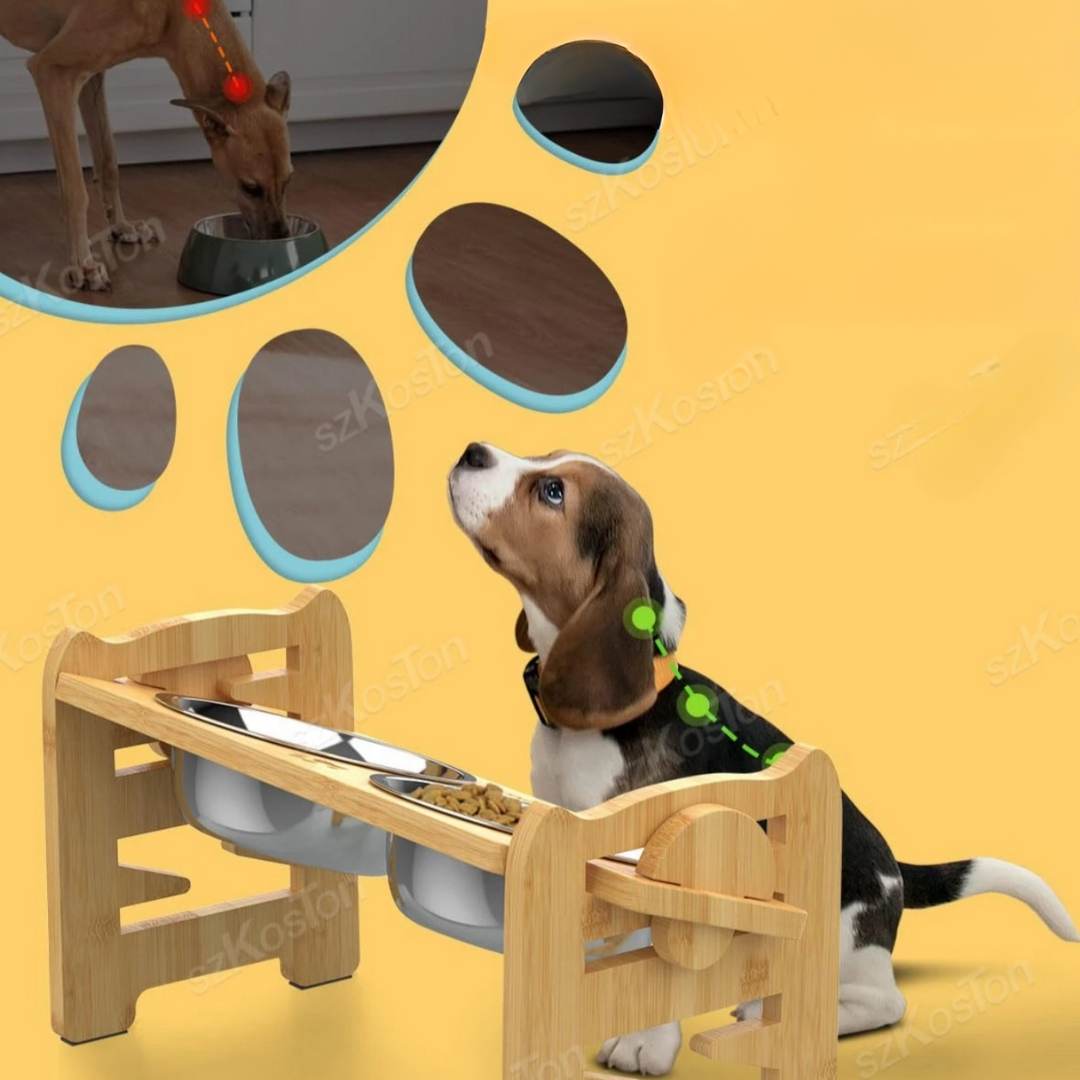erhöhter Hundenapf