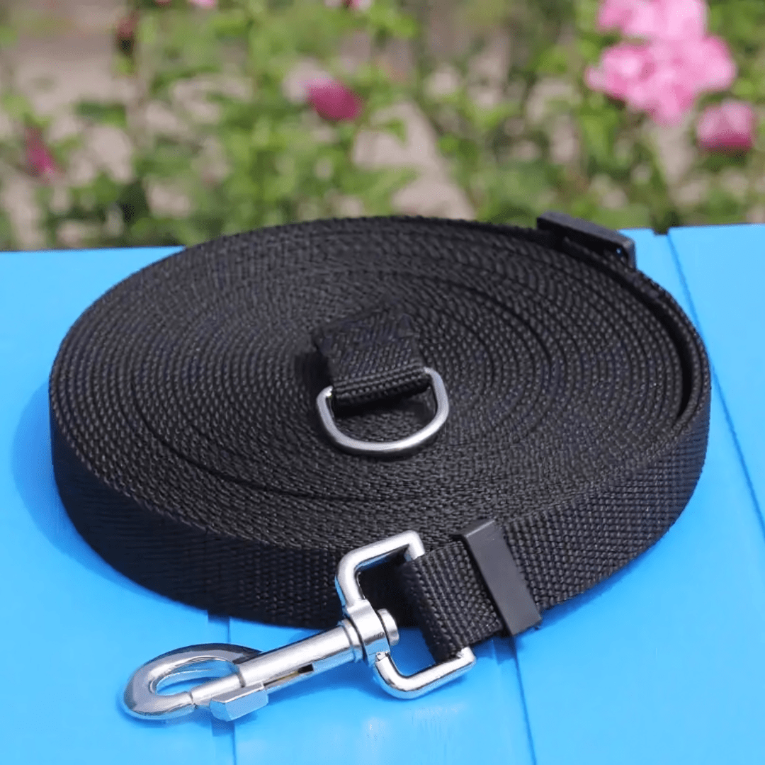 HUNDE SCHLEPPLEINE Nylon 3, 6 UND 10 METER - eddy shop