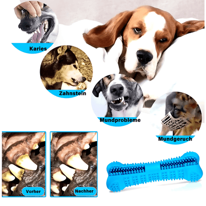 Hunde Zahnbürste Soft Rubber - eddy shop
