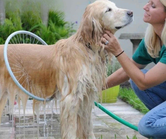 360° Duschring – Die stressfreie Hundewäsche für Zuhause und im Garten