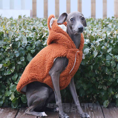 Windhundmantel in Orange – Kapuze und passgenauer Schnitt für schlanke Hunde