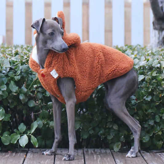 Windhund Mantel Italian Greyhound Hooded Jacket Sherpa Lined - Warm, Lightweight and Breathable Iggy Whippet Sweater Jacket