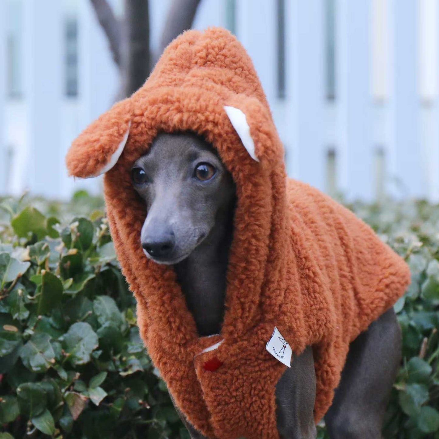 Orange Hundejacke für Whippet – leichter Mantel mit Fleecefutter