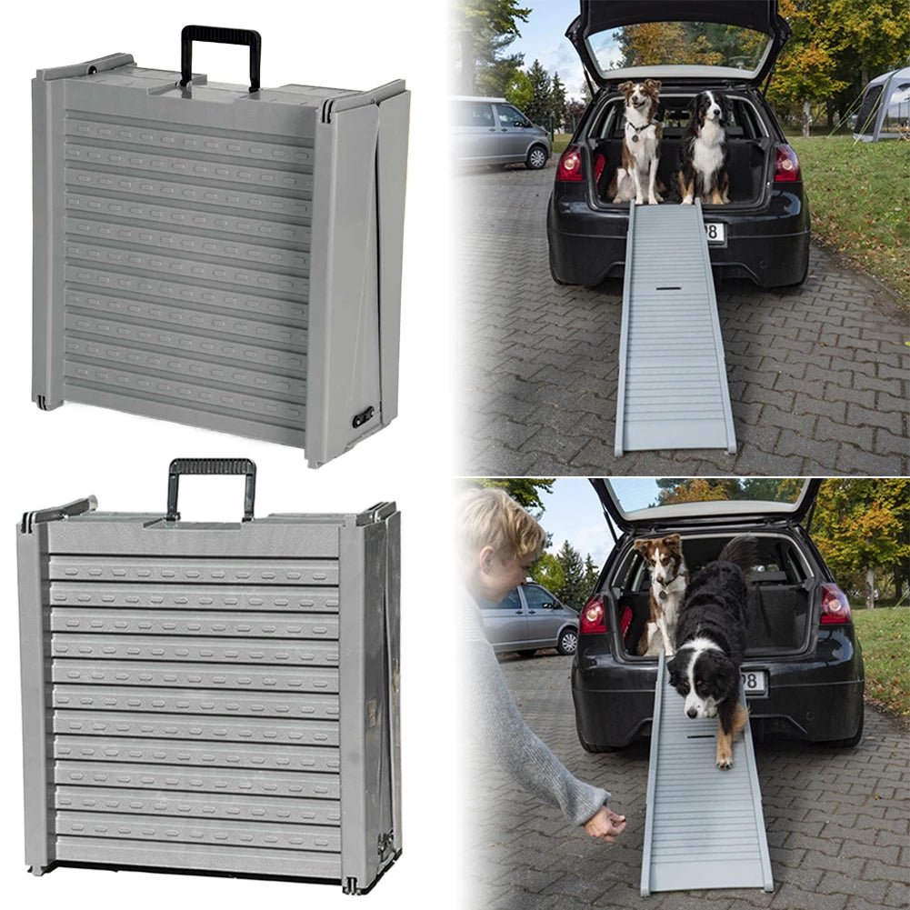 Car Companion – Ihr Partner für sichere Hundereisen
