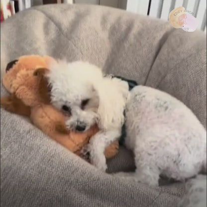Hunde Baby  Sammy mit Herzschlag