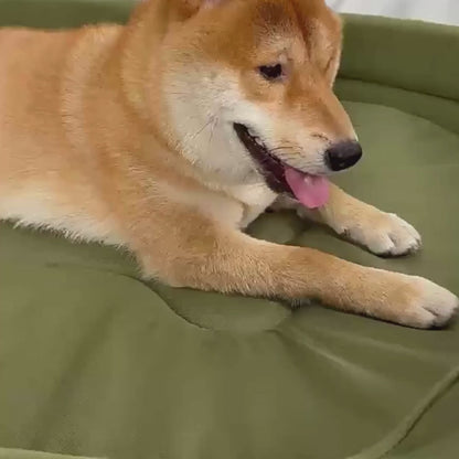 Hundebett mit speziellem Erholungskissen