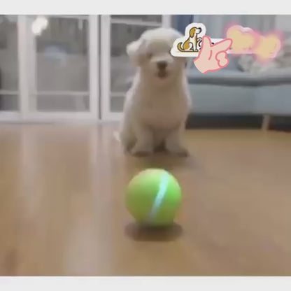 Tanzender Powerball – Action und Spannung für Ihren Hund