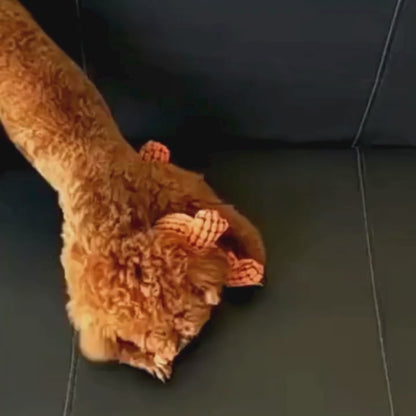 Bruno der Dinosaurier von Hunden geliebt