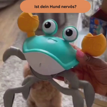 Hundespielzeug Charlie die Flitzkrabbe, für ausgelassene Action