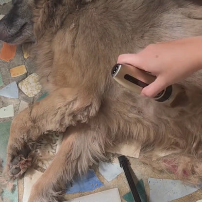 Hundehaarschneide‎ ‎ ‎ ‎ maschine (Profi) mit Kabel
