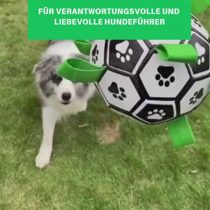 Ball mit Griff für Hunde