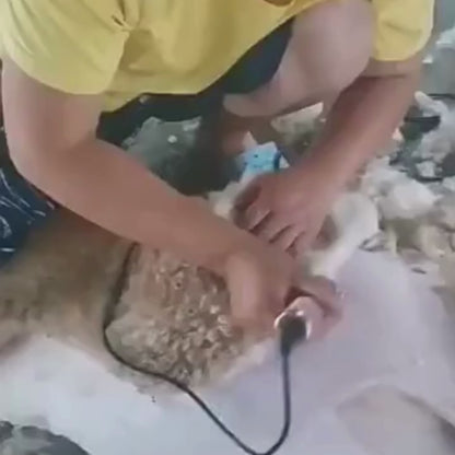 Hundehaarschneide‎ ‎ ‎ ‎ maschine (Profi) mit Kabel