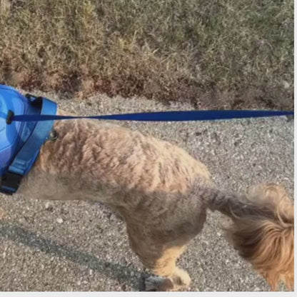 Hundegeschirr Safe Device System