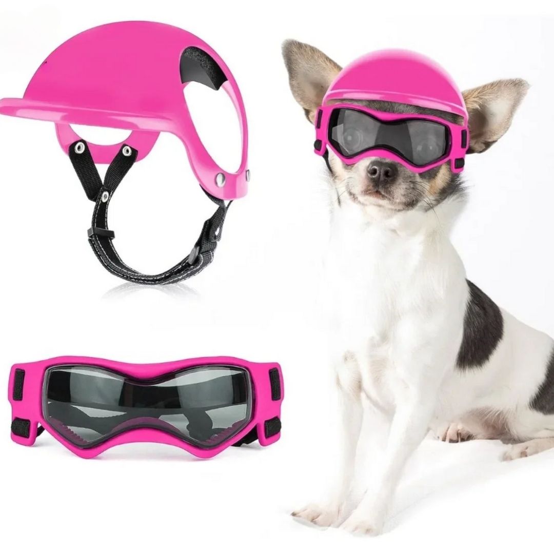 hunde fahrradbrille Hundebrille mit Helm – Schutz für Ihren Hund